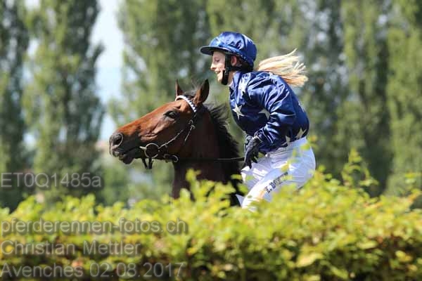 ET0Q1485a prot